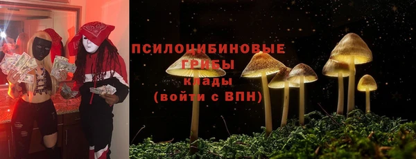 прущие крисы Корсаков