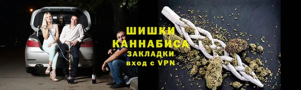 дживик Козельск