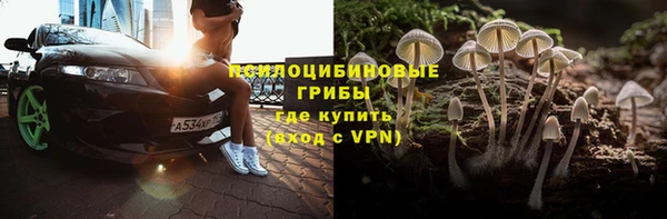 ешки Кодинск