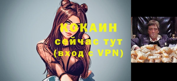 дживик Козельск