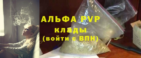 дживик Козельск