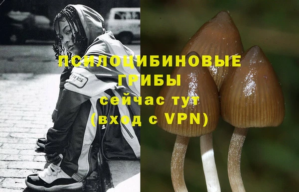 дживик Козельск