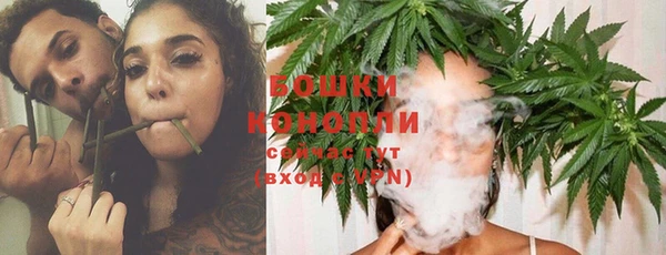 дживик Козельск