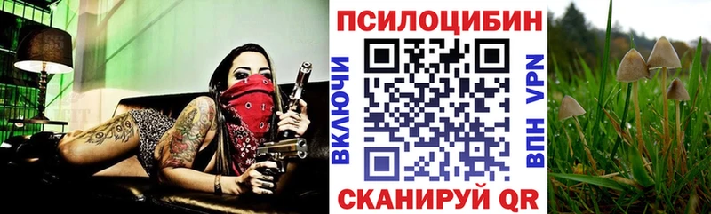 Галлюциногенные грибы Magic Shrooms  Киржач 