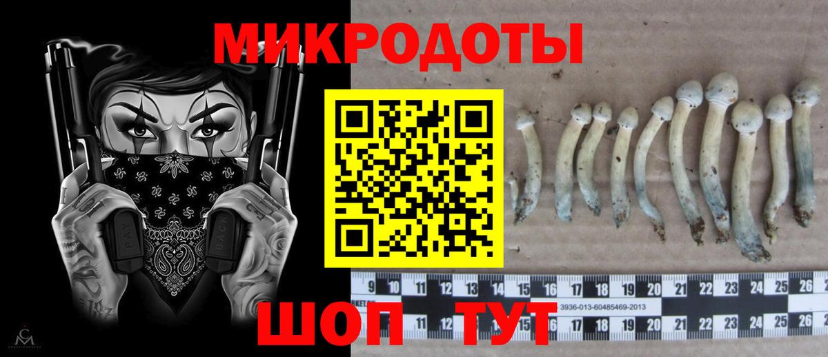 Псилоцибиновые грибы прущие грибы  Вход с VPN  Киржач  Псилоцибиновые грибы ЛСД 